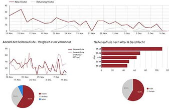 Google Data Studio Ansicht