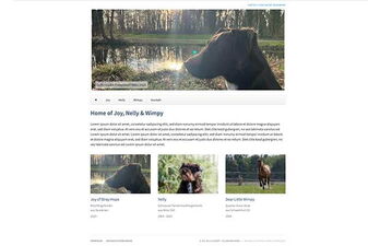 Private Website von alexandra kreml