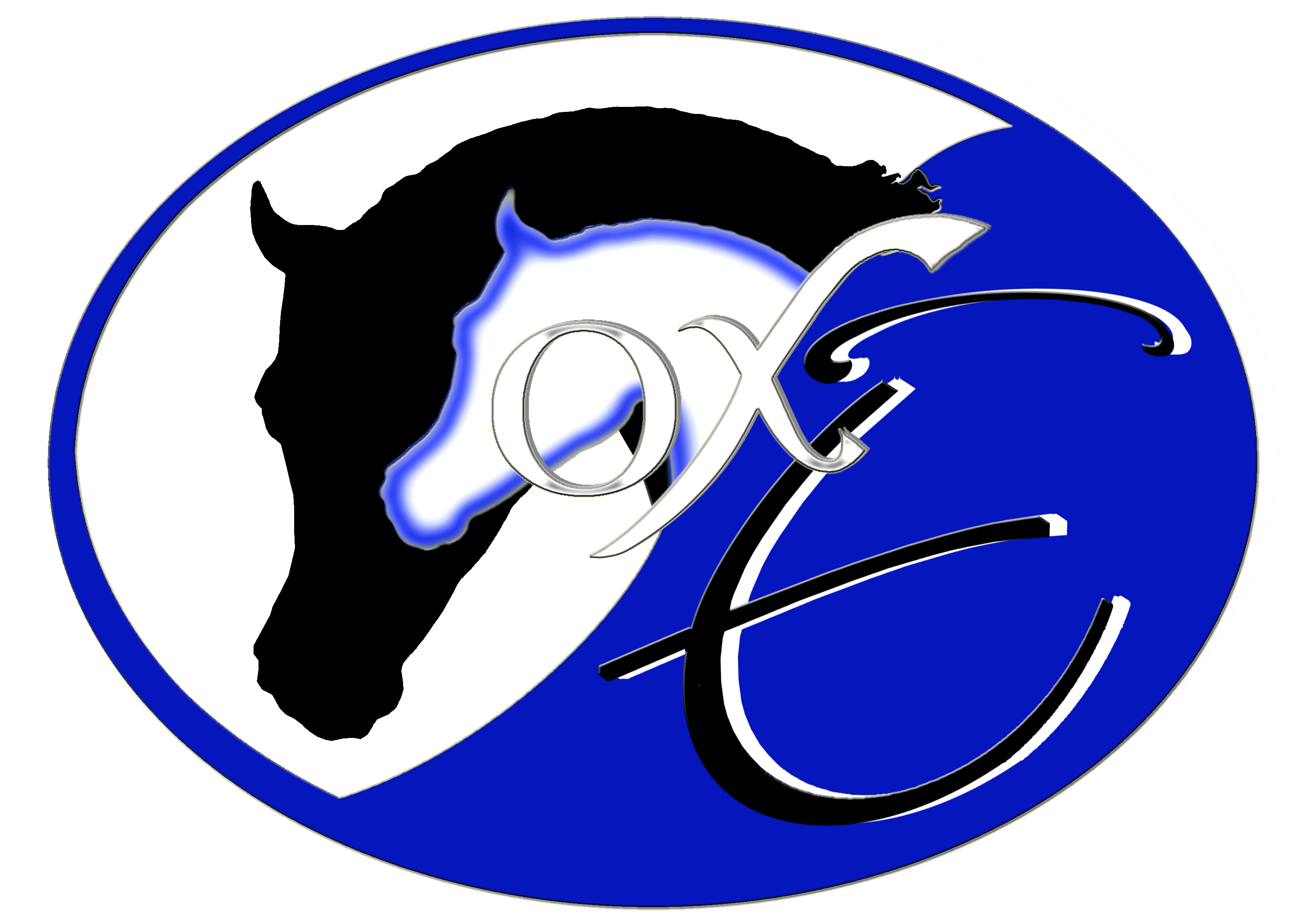 Logo Pferdetransporte Elisabeth Gasser